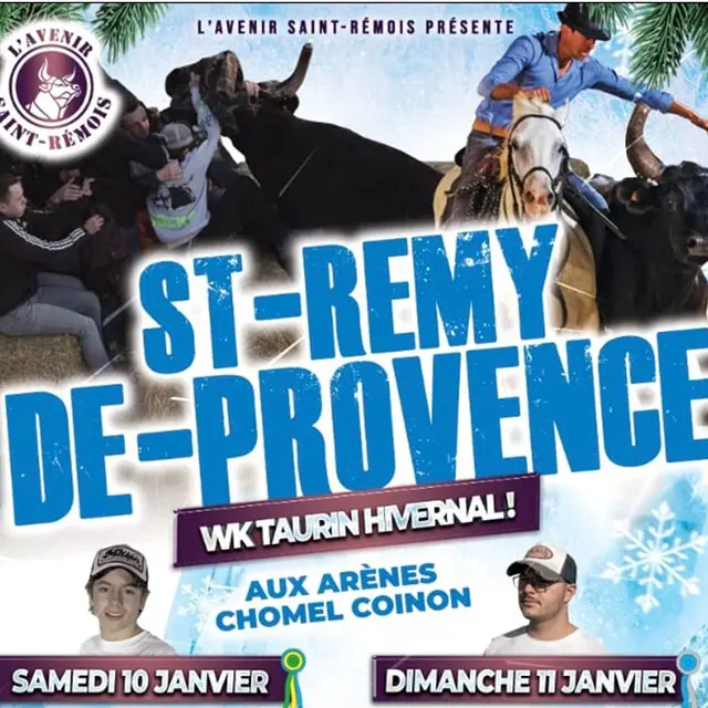 Week-end hivernal à Saint-Rémy-de-Provence_Saint-Rémy-de-Provence