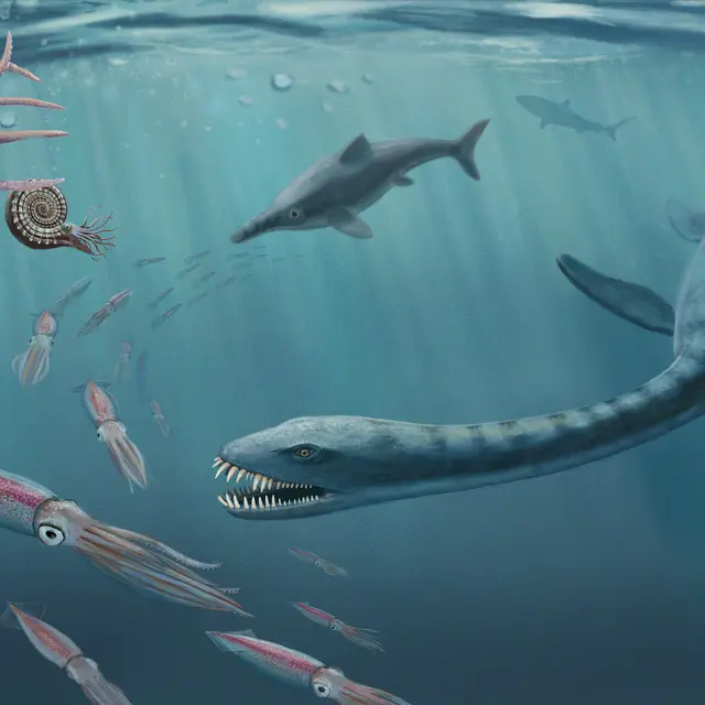 Rendez-vous Pays d'art et d'histoire_Tartonne