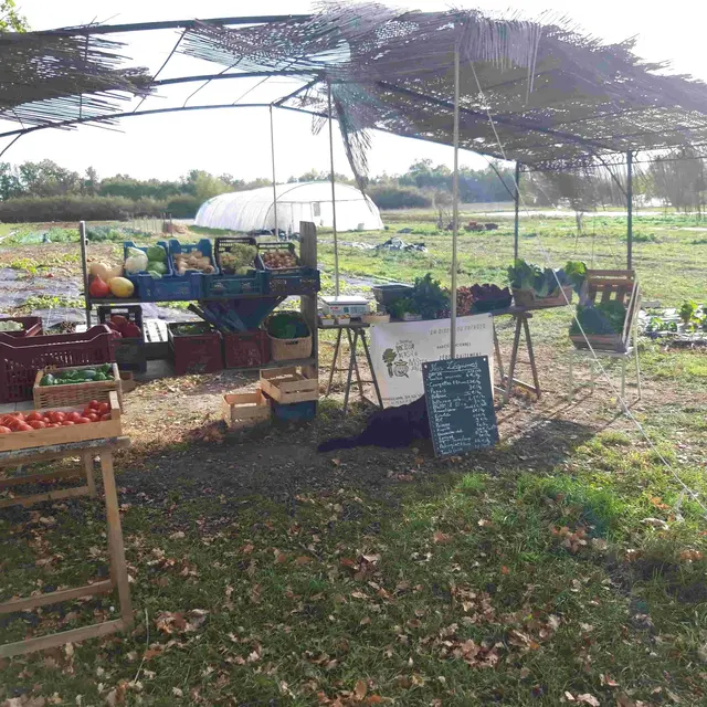 le jardin du Docteur Persil et Mister Ail