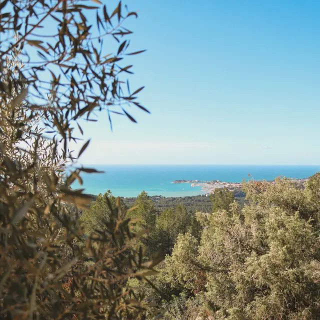 Sentier des Nerthes (3h30) – Massif du Gros Cerveau_Sanary-sur-Mer