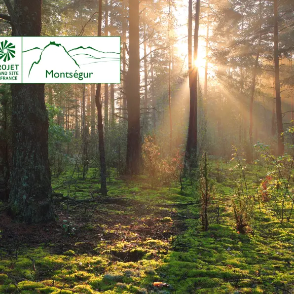 Forestiers de montagne, un autre monde_Bélesta