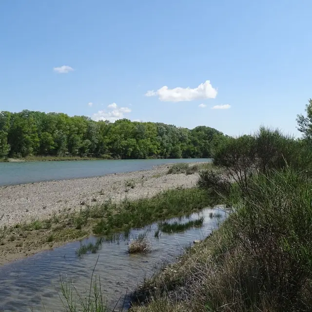 Les marches au fil de l'eau - Rives de la Durance_Le Puy-Sainte-Réparade
