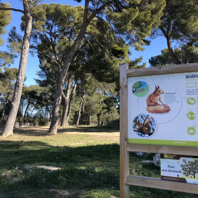 Parc aux écureuils