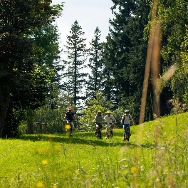 Étape 3 - Tour VTT du Pays Roannais - Chérier > Saint-Martin-d'Estréaux_Cherier