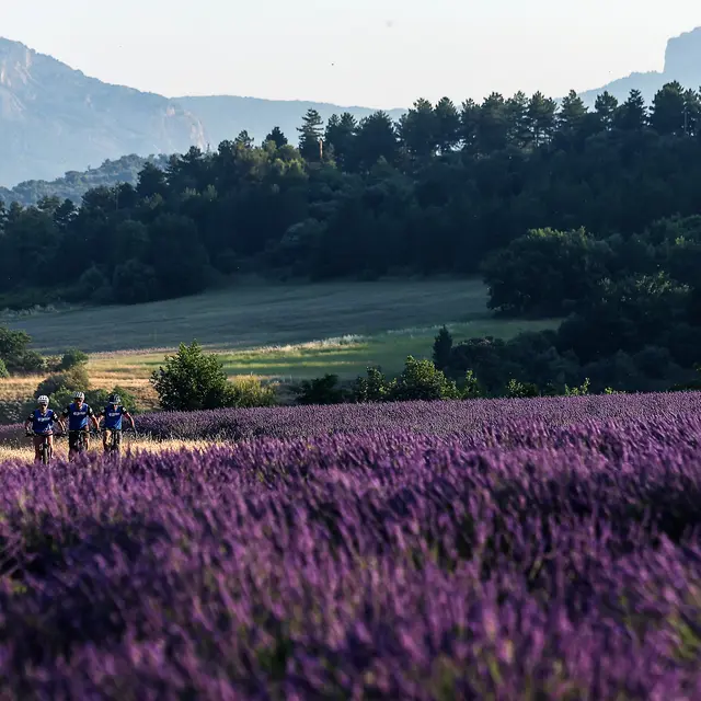 Séjour VTT Le Campagnard, la formule VTT idéale en famille !_Château-Arnoux-Saint-Auban