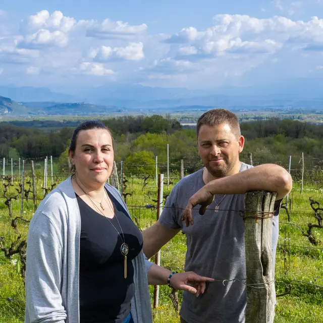 Domaine Trichon