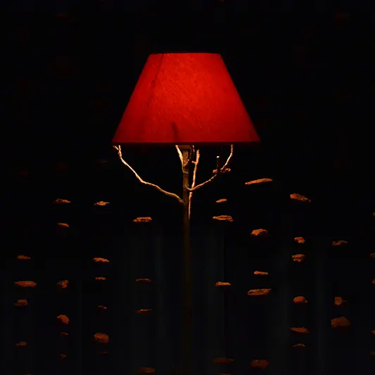 Spectacle La veillée_Chambéry