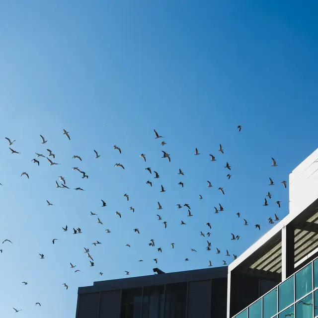 Conférence Indécence urbaine, pour un nouveau pacte avec le vivant de Guillaume Faburel - Nuits de la lecture_Bourg-en-Bresse