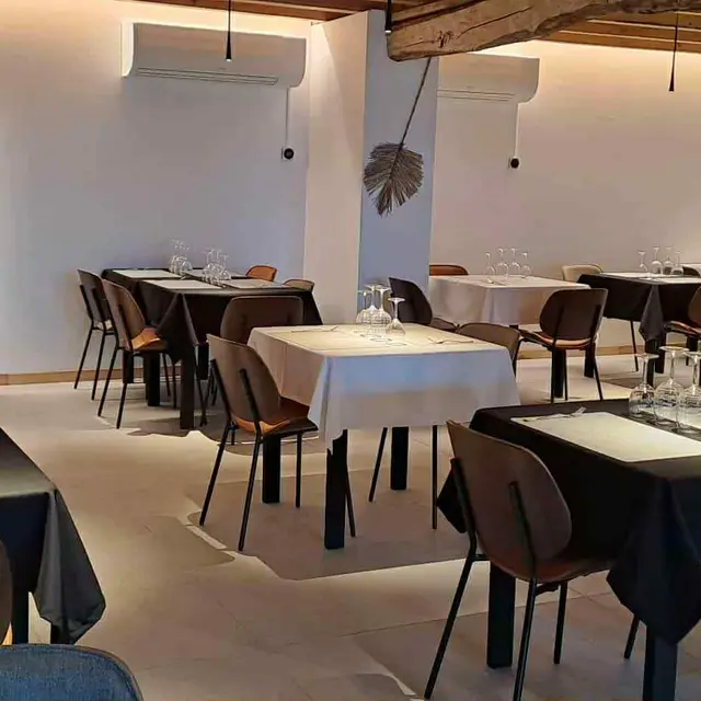 CELYN'RIC d'AJD_Puycornet