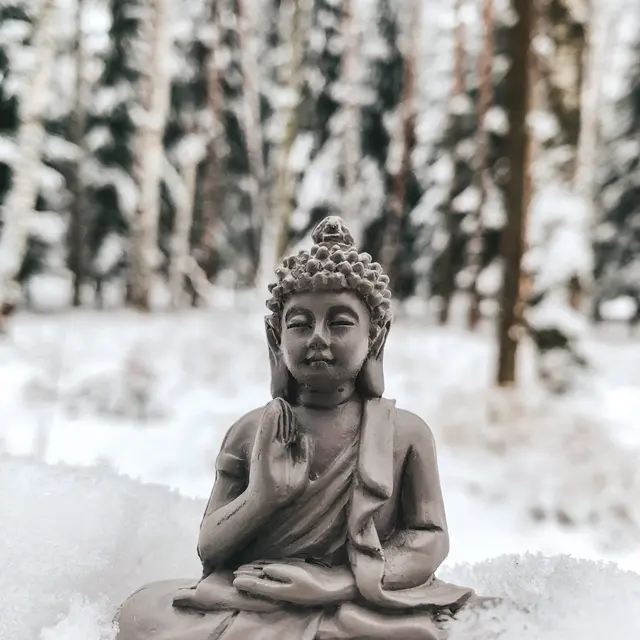 Stage de méditation se transformer_Séguret