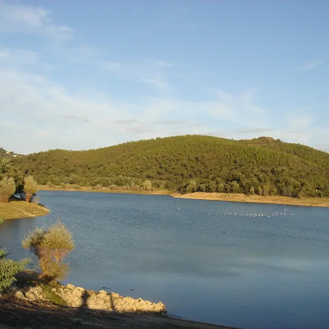 Barrage du Trapan - Bormes-les-Mimosas
