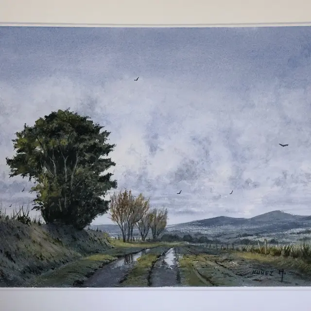 paysage