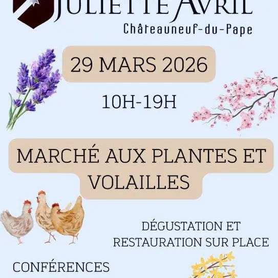 Marché aux plantes au Domaine Juliette Avril_Châteauneuf-du-Pape