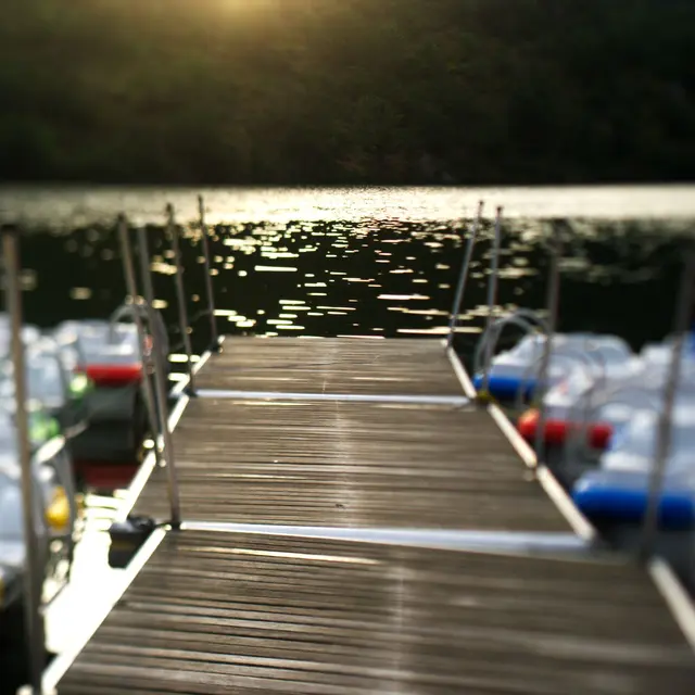 Exposition Défocalisation du regard_Saint-Victor sur Loire