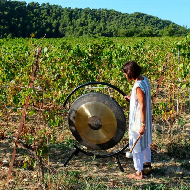 Stage son, souffle et mouvement - Pilates et Plus_Gigondas