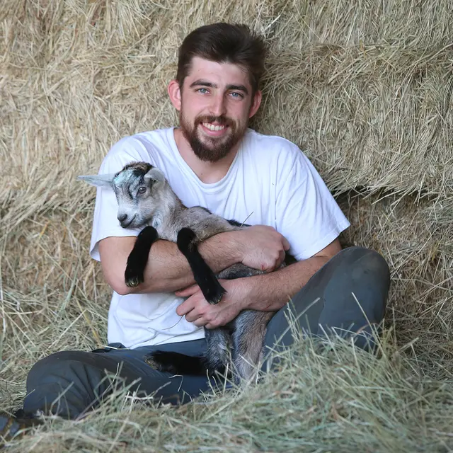Fromagerie Le P'tit Milou