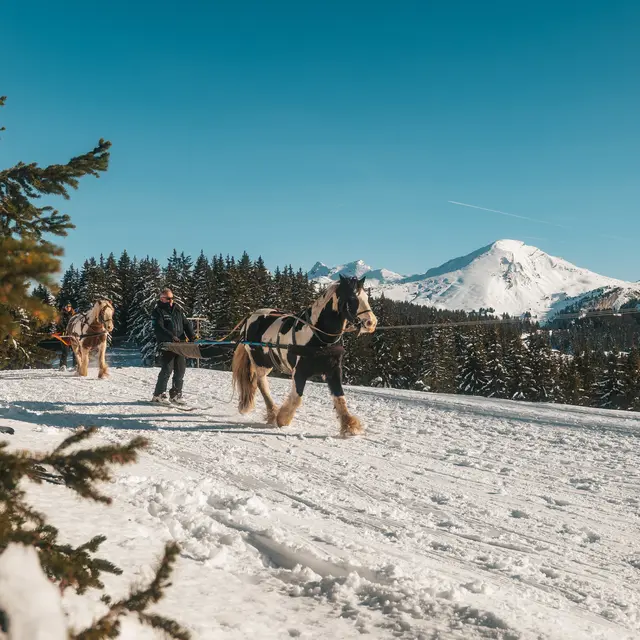 Criterium de Ski Joering_Avoriaz
