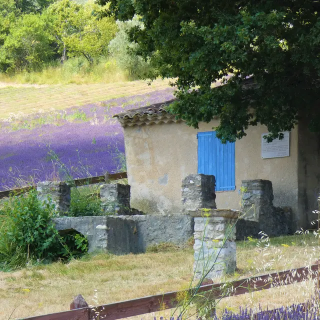 Bastidon Paul Arène