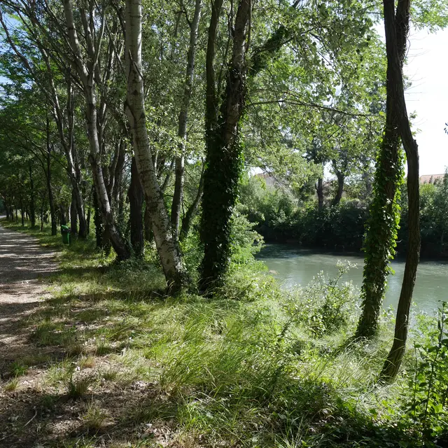 Berges de l'Ouvèze à Sorgues