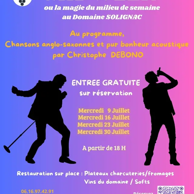 Soirée de chansons anglo-saxonne au domaine Solignac_Hyères