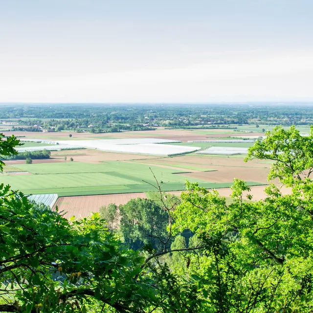 Circuit Buffo crabo de Piquecos_Piquecos