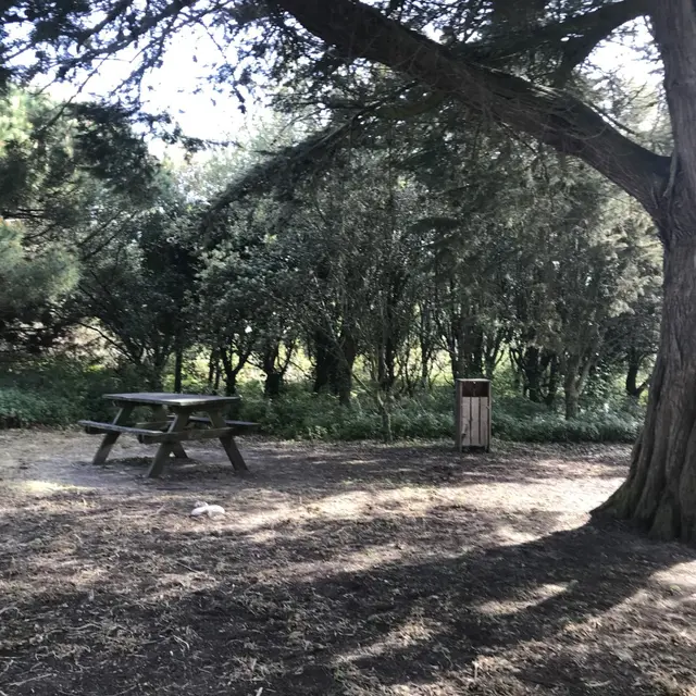 Aire de pique-nique du phare