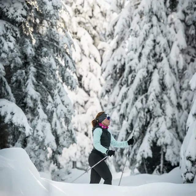 Domaine Nordique Le Bessat - Les Grands Bois_Le Bessat