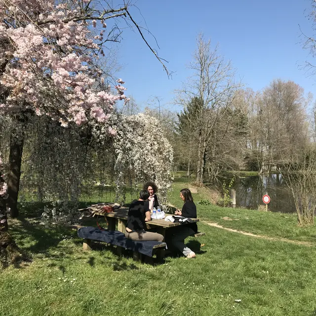 Arboretum