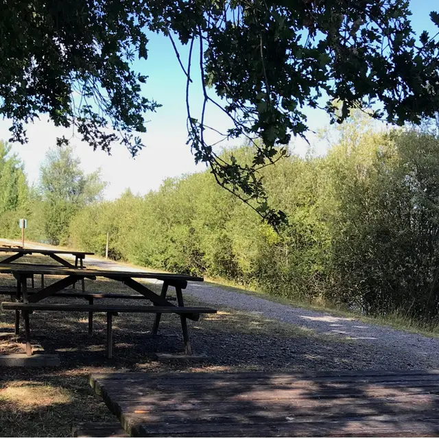 Tables de pique-nique