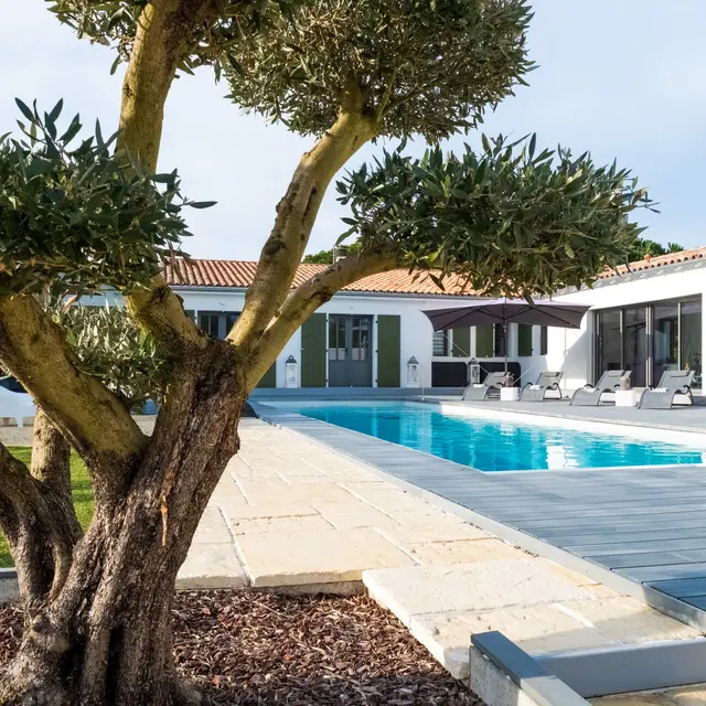 Le 36 Maison d'hôtes