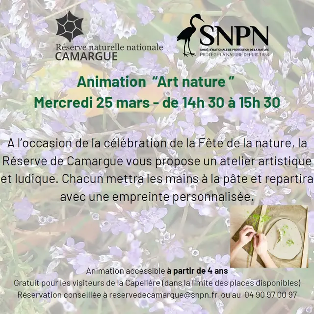 Animation Arts nature_Arles
