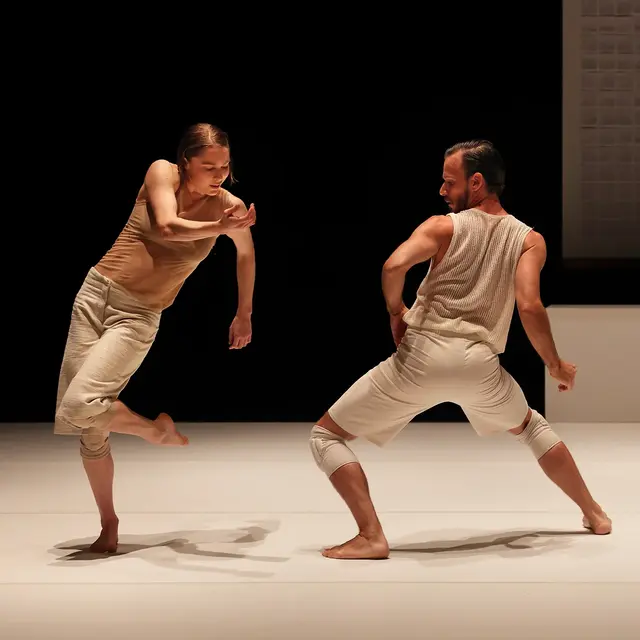 Danse Crocodile_Vedène