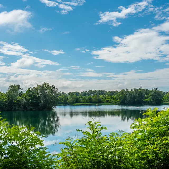 Marais de l'île vieille