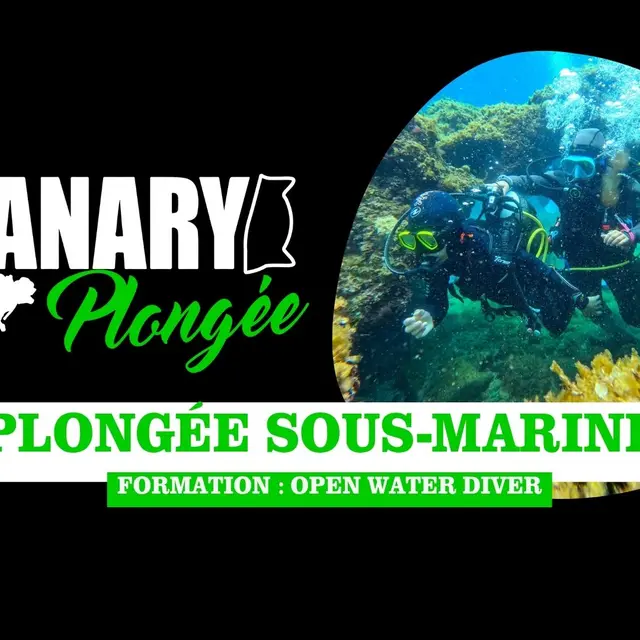 Sanary Plongée : Open Water Diver (Formation)_Sanary-sur-Mer