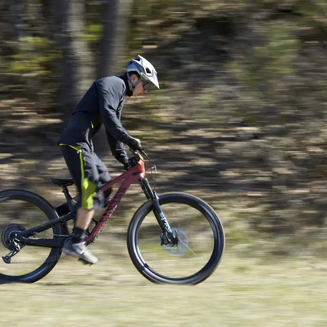 La crête de la Jaillière N°12