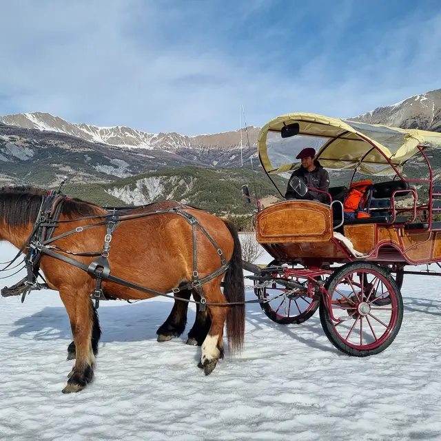 Balade en calèche