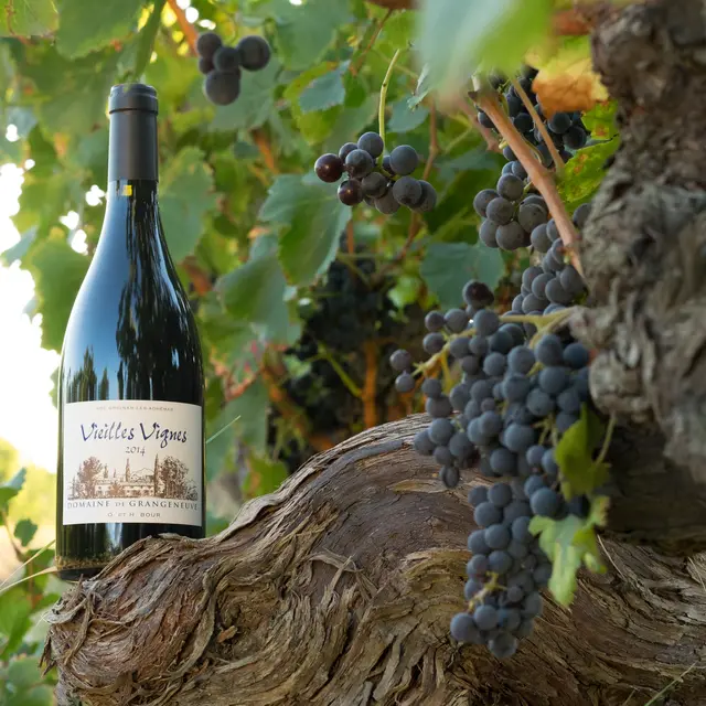 Domaine de Grangeneuve - Roussas