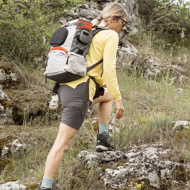 Randonnée pédestre encadrée à l'affut des chamois avec Martine Dupont_Abondance