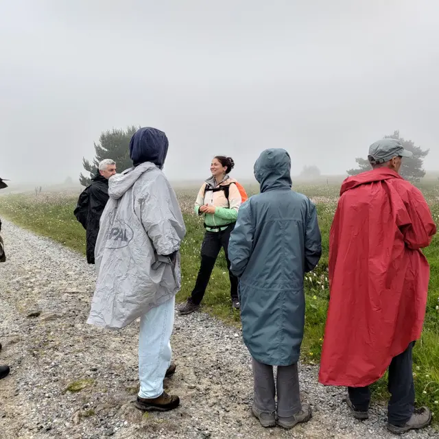 Sur les traces des glaciers foréziens_Sauvain