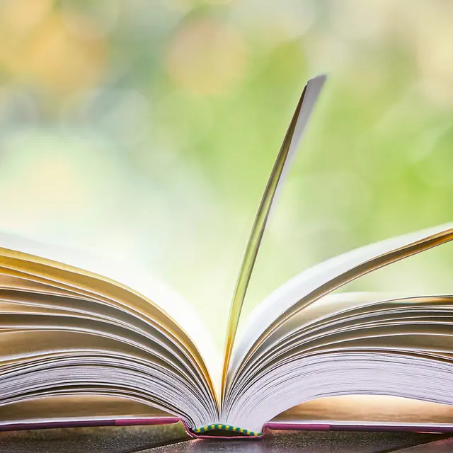 Salon du livre