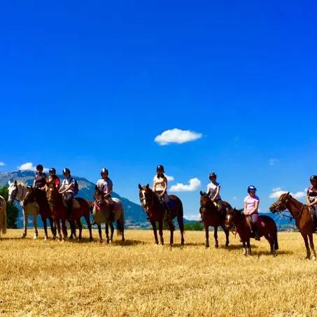 Les écuries de la Luye