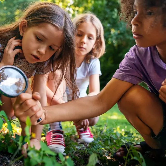 Escape Game Les enfants de la Résistance_Roquemaure