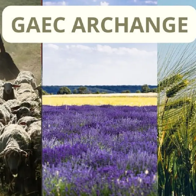 Gaec Archange