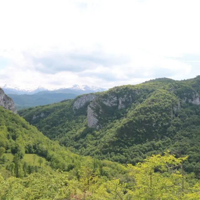 Les gorges de Péreille