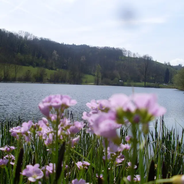 Etang du Thivoley
