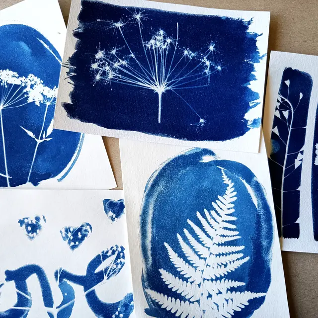 Atelier cyanotype_Saint-Michel-de-Chaillol