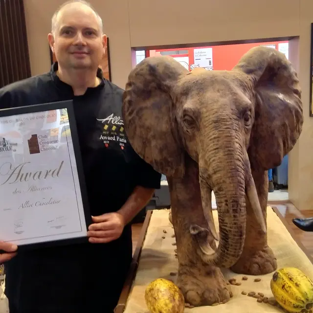 Alliot chocolatier pâtissier_Montauban