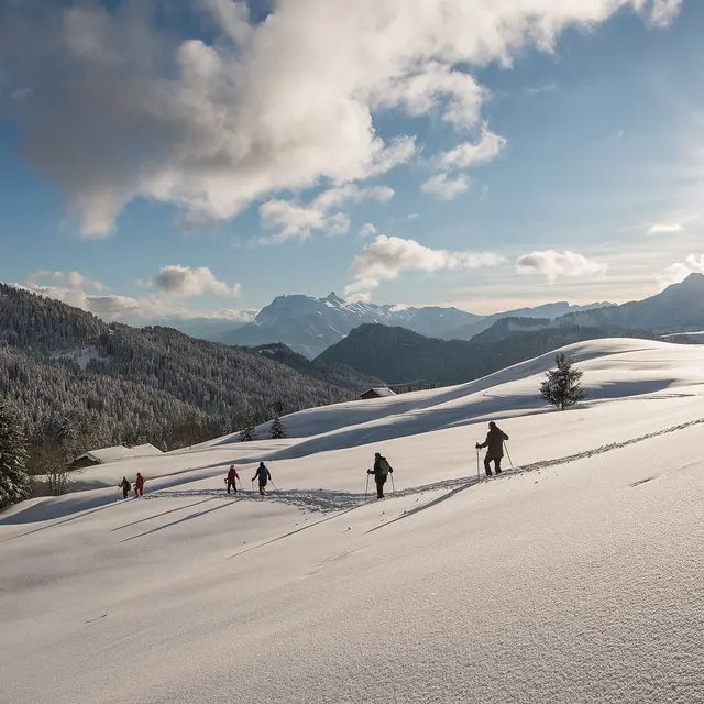 1/2 journée en raquettes à la découverte des plus beaux panoramas de montagne
