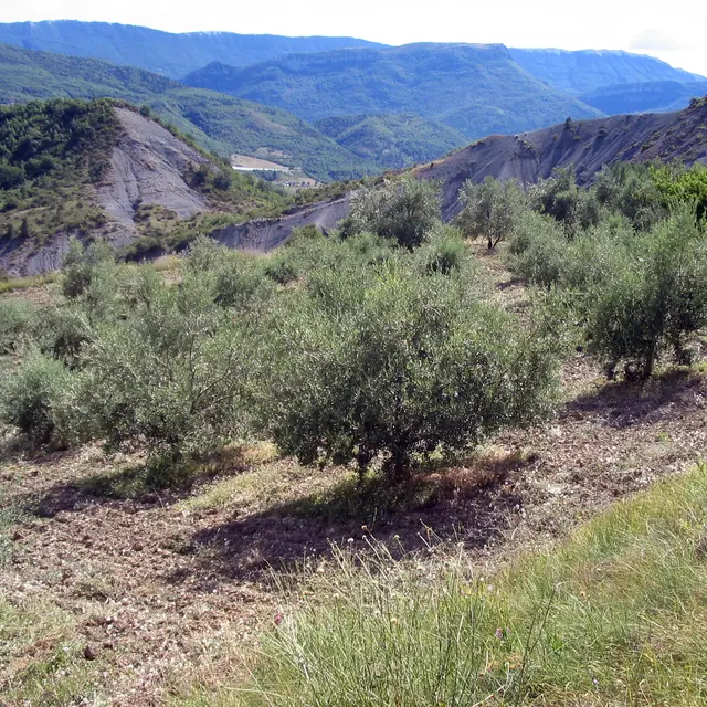 Les Oulettes - Sisteron