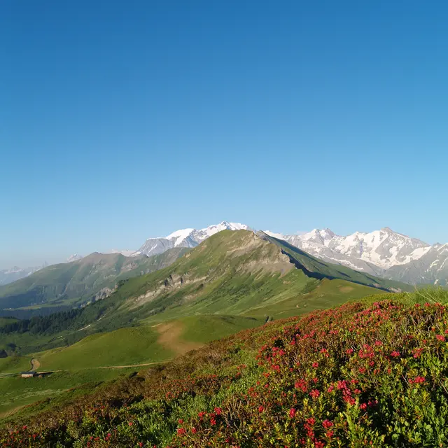 Col de Very